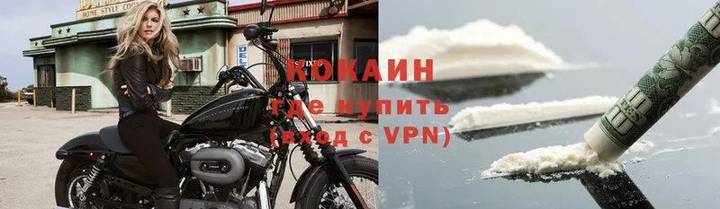 КОКАИН VHQ  цена наркотик  площадка Telegram  Губкин 