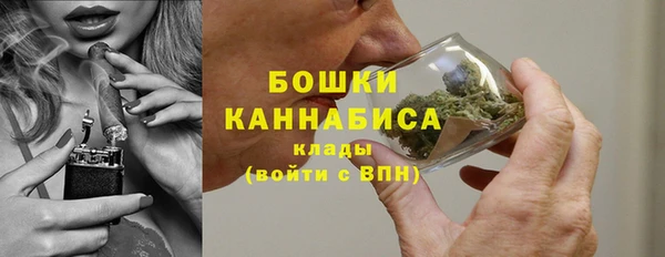 винт Горняк
