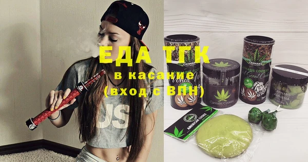 индика Магас