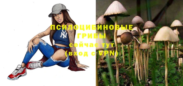 герыч Майский