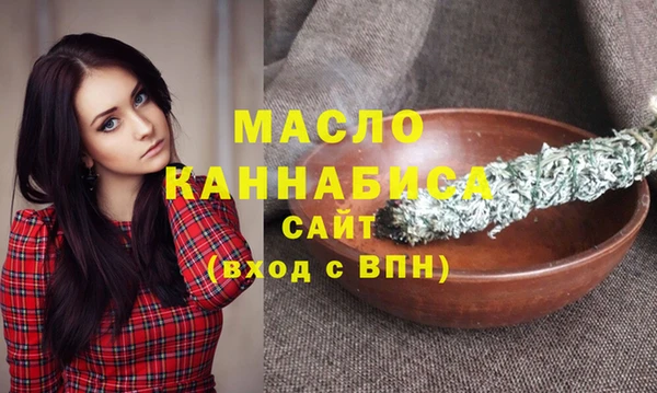 индика Магас