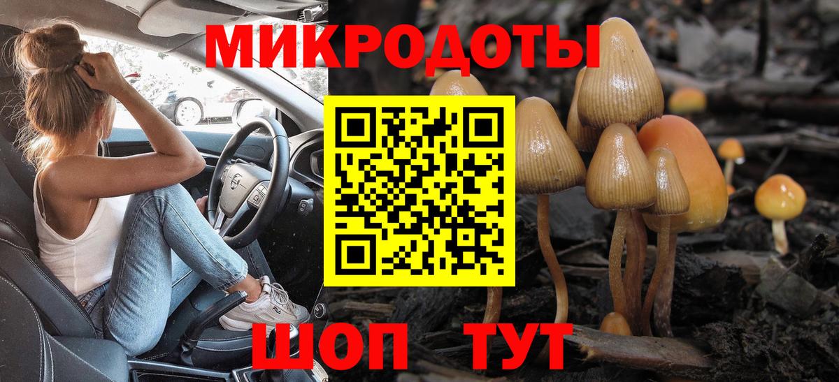 Галлюциногенные грибы мухоморы Губкин