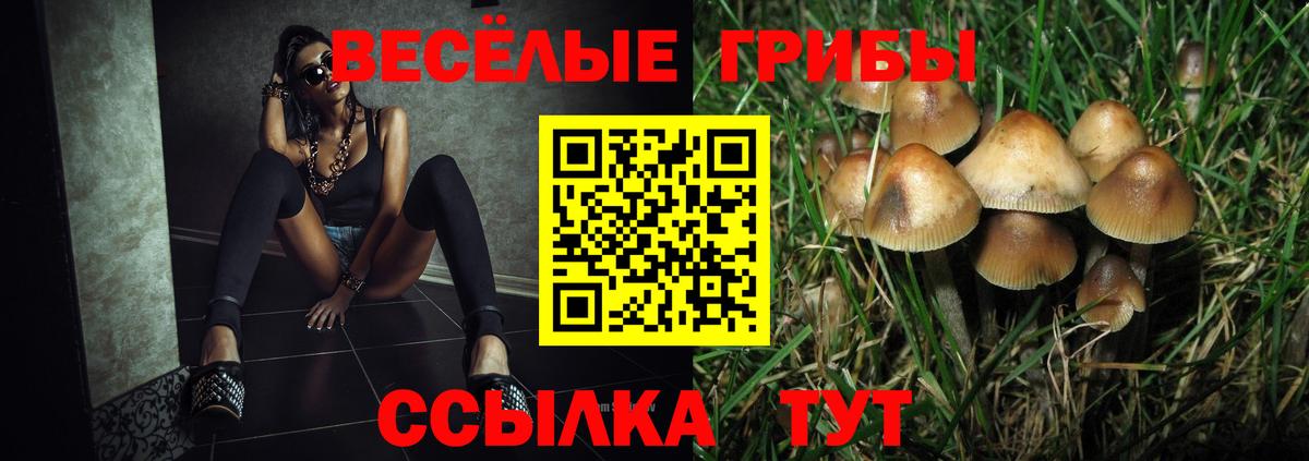 ГАШ  Губкин  Конопля  Меф   ГАШ  Вход с VPN  LSD-25 