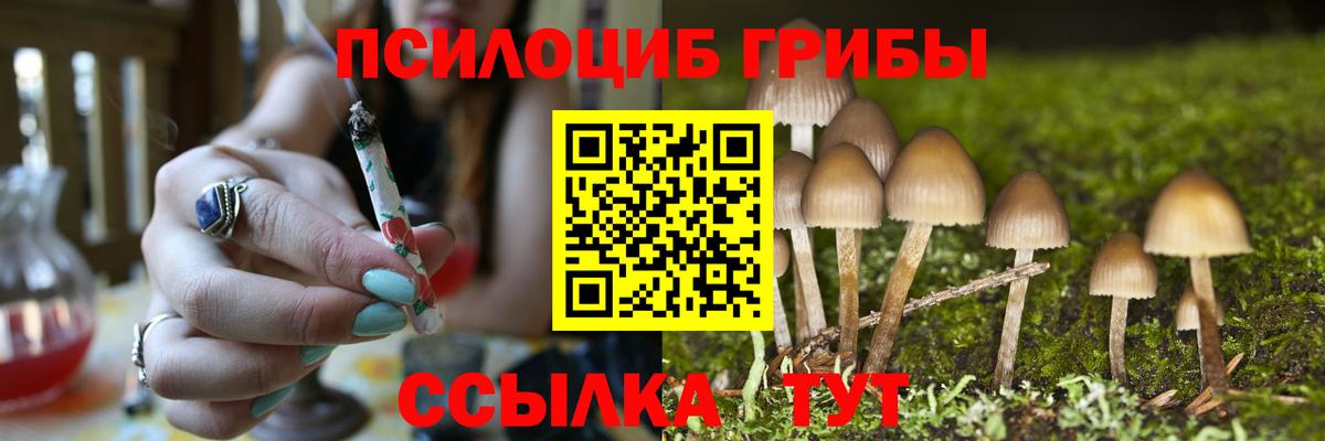 Губкин  Псилоцибиновые грибы прущие грибы  Вход с VPN 